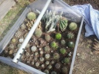 /album/rok-2012/a2012-03-24-14-13-54-jpg/